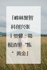 峰林聚智 科创兴张丨贺健：葛根渣里“炼”黄金