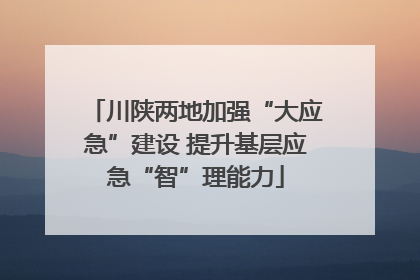川陕两地加强“大应急”建设 提升基层应急“智”理能力
