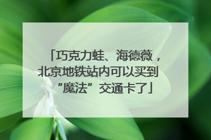 巧克力蛙、海德薇，北京地铁站内可以买到“魔法”交通卡了