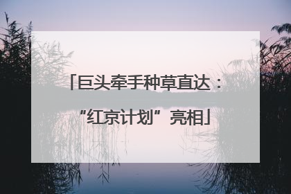 巨头牵手种草直达：“红京计划”亮相
