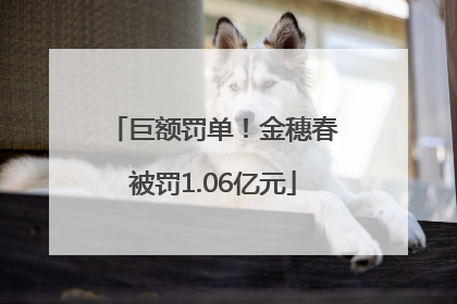 巨额罚单！金穗春被罚1.06亿元