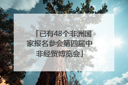 已有48个非洲国家报名参会第四届中非经贸博览会