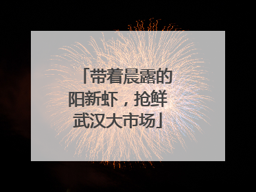 带着晨露的阳新虾，抢鲜武汉大市场