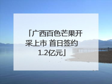 广西百色芒果开采上市 首日签约1.2亿元