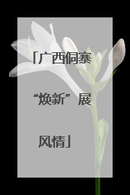 广西侗寨“焕新”展风情
