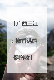 广西三江：椒香满园促增收