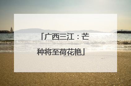 广西三江：芒种将至荷花艳