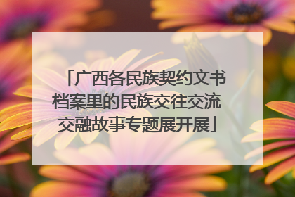 广西各民族契约文书档案里的民族交往交流交融故事专题展开展