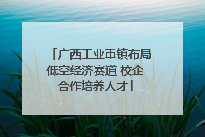 广西工业重镇布局低空经济赛道 校企合作培养人才