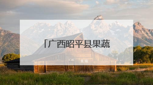 广西昭平县果蔬产销两旺 为乡村振兴注入动力