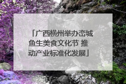 广西横州举办峦城鱼生美食文化节 推动产业标准化发展