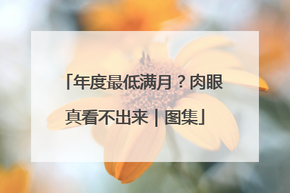 年度最低满月？肉眼真看不出来｜图集