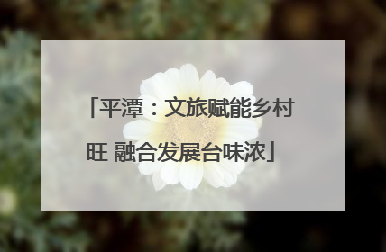 平潭：文旅赋能乡村旺 融合发展台味浓