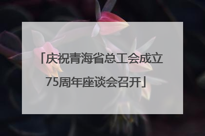 庆祝青海省总工会成立75周年座谈会召开
