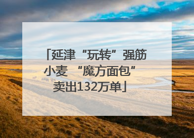 延津“玩转”强筋小麦 “魔方面包”卖出132万单