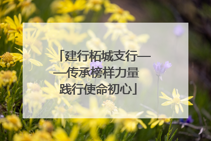 建行柘城支行——传承榜样力量 践行使命初心