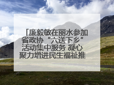 廉毅敏在丽水参加省政协“六送下乡”活动集中服务 凝心聚力增进民生福祉推进共同富裕