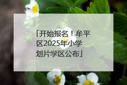 开始报名！牟平区2025年小学划片学区公布