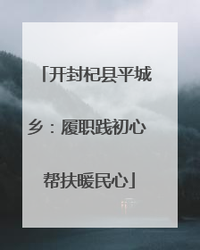 开封杞县平城乡：履职践初心 帮扶暖民心