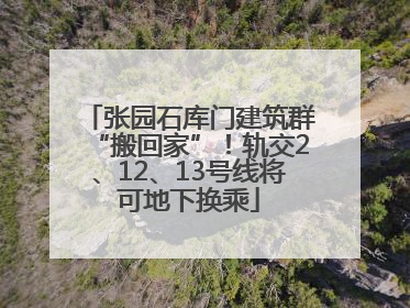 张园石库门建筑群“搬回家”！轨交2、12、13号线将可地下换乘