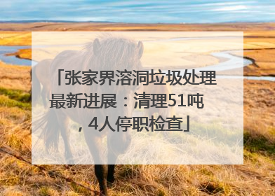 张家界溶洞垃圾处理最新进展：清理51吨，4人停职检查