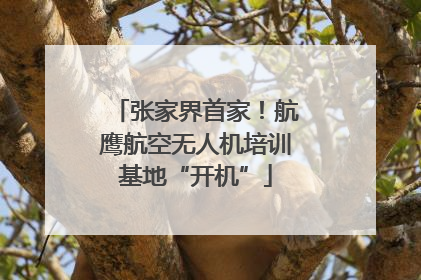 张家界首家！航鹰航空无人机培训基地“开机”