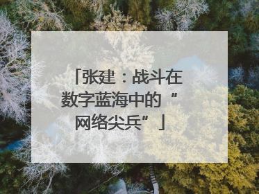 张建：战斗在数字蓝海中的“网络尖兵”