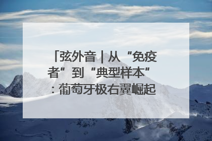 弦外音｜从“免疫者”到“典型样本”：葡萄牙极右翼崛起背后的欧洲困局