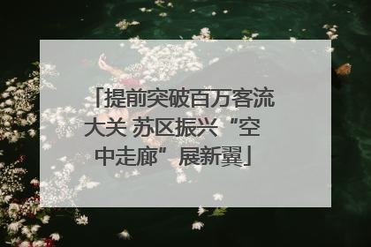 提前突破百万客流大关 苏区振兴“空中走廊”展新翼