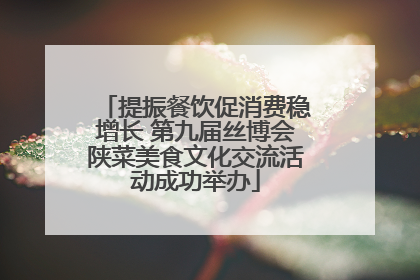 提振餐饮促消费稳增长 第九届丝博会陕菜美食文化交流活动成功举办