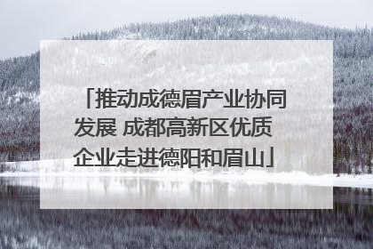 推动成德眉产业协同发展 成都高新区优质企业走进德阳和眉山