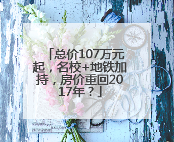总价107万元起，名校+地铁加持，房价重回2017年？
