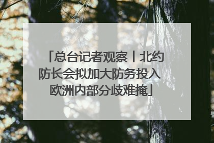 总台记者观察丨北约防长会拟加大防务投入 欧洲内部分歧难掩