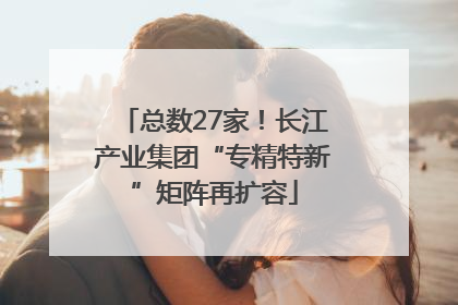 总数27家！长江产业集团“专精特新”矩阵再扩容