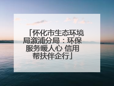 怀化市生态环境局溆浦分局：环保服务暖人心 信用帮扶伴企行