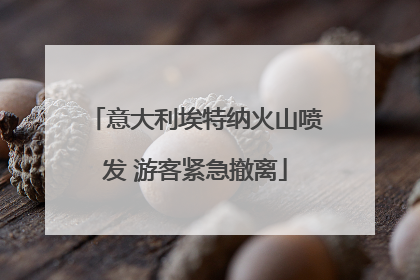 意大利埃特纳火山喷发 游客紧急撤离