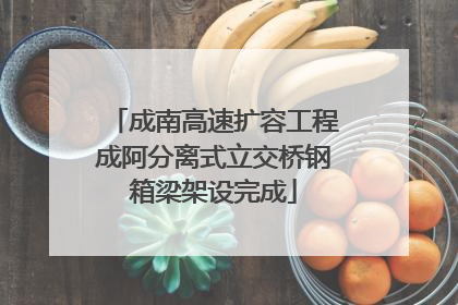 成南高速扩容工程成阿分离式立交桥钢箱梁架设完成