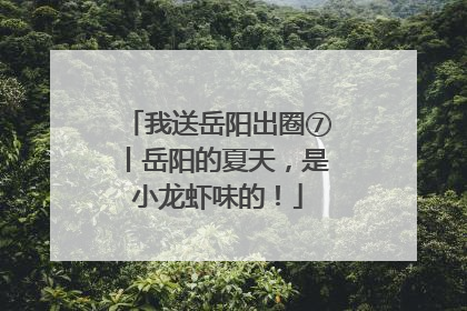 我送岳阳出圈⑦丨岳阳的夏天，是小龙虾味的！