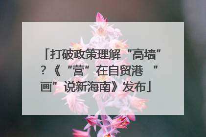 打破政策理解“高墙”？《“营”在自贸港 “画”说新海南》发布