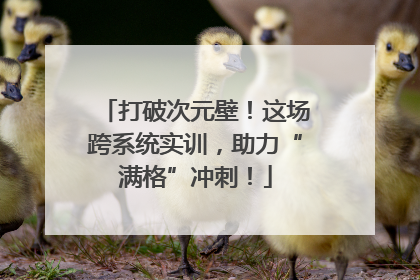 打破次元壁！这场跨系统实训，助力“满格”冲刺！