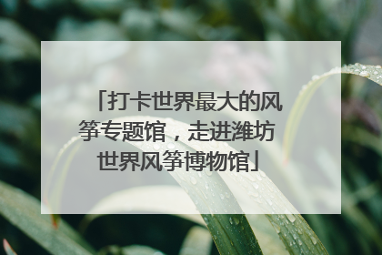 打卡世界最大的风筝专题馆，走进潍坊世界风筝博物馆
