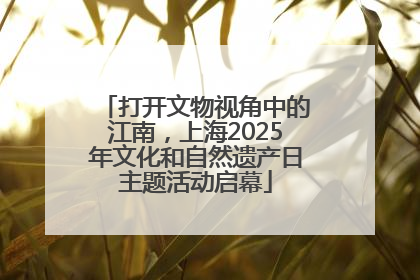 打开文物视角中的江南，上海2025年文化和自然遗产日主题活动启幕