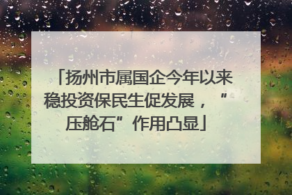 扬州市属国企今年以来稳投资保民生促发展，“压舱石”作用凸显