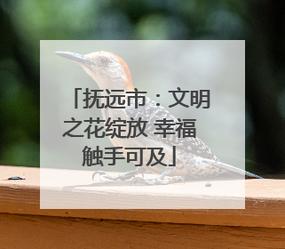 抚远市：文明之花绽放 幸福触手可及