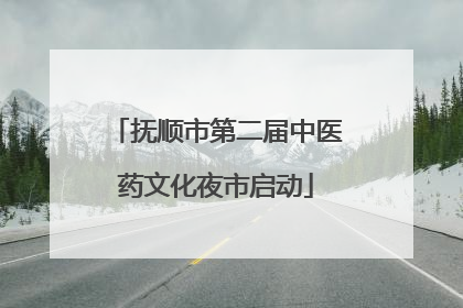 抚顺市第二届中医药文化夜市启动
