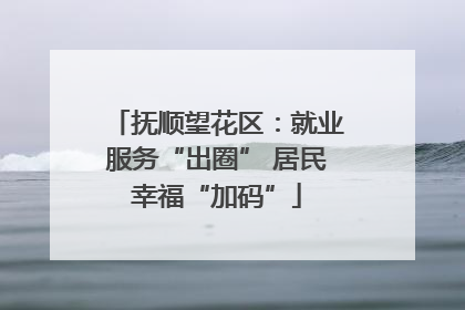抚顺望花区：就业服务“出圈” 居民幸福“加码”