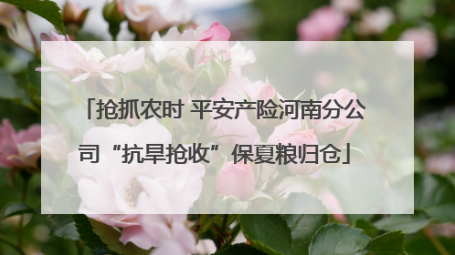 抢抓农时 平安产险河南分公司“抗旱抢收”保夏粮归仓