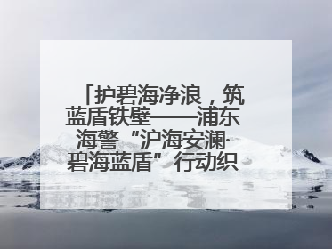 护碧海净浪，筑蓝盾铁壁——浦东海警“沪海安澜·碧海蓝盾”行动织密立体防控网
