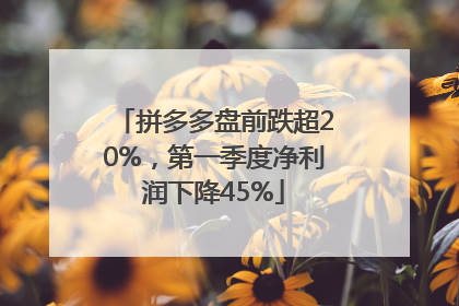 拼多多盘前跌超20%，第一季度净利润下降45%