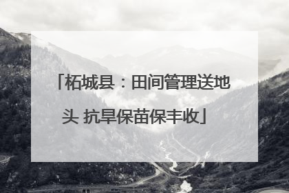 柘城县：田间管理送地头 抗旱保苗保丰收